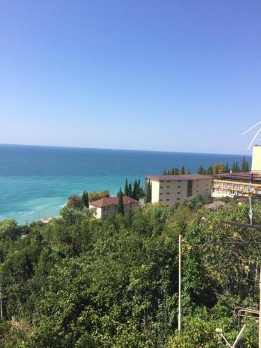 Багрипш: Guest house u Mishy