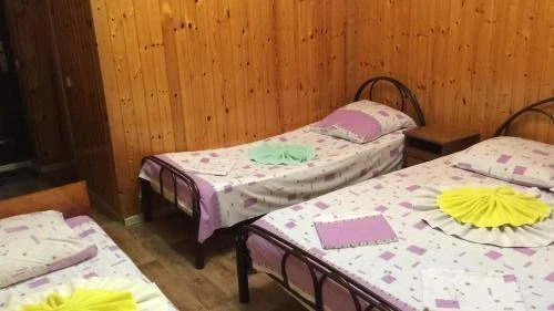 Багрипш: Guest house u Mishy