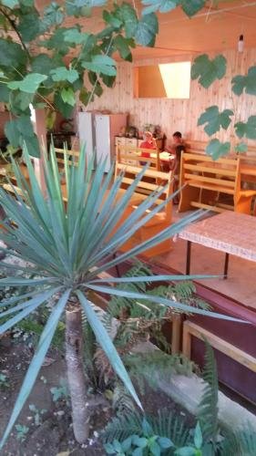 Золотая бухта: Guest House Karina