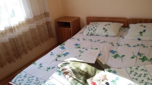 Золотая бухта: Guest House Karina