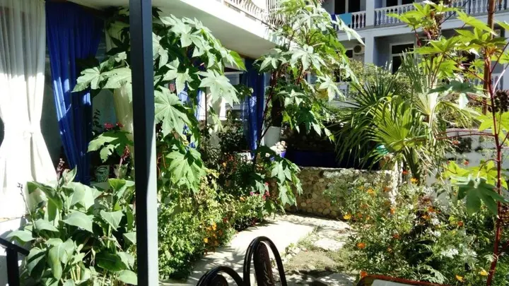 Новый Афон: Guest house Domashnii ochagh