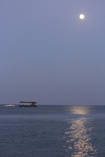 Пицунда: Guest house Harmony