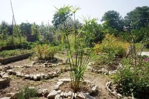 Верхняя Эшера: Guest house on Shaumyana