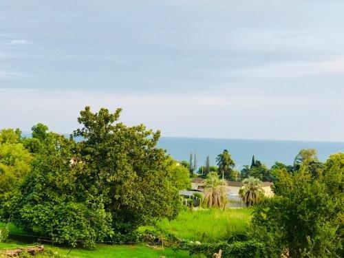 Верхняя Эшера: Отель "Palm Hotel"