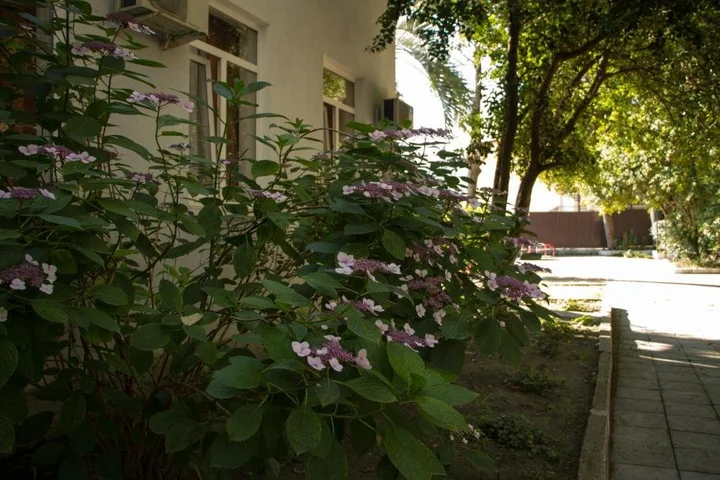 Гагра: Midel Gagra Hotel