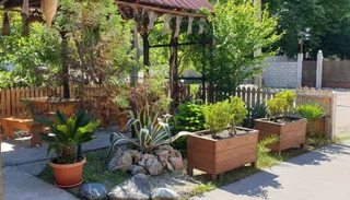 Гагра: Mini Hotel on Lakoba