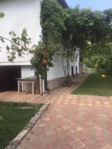Гудаута: Guest house Druzhba