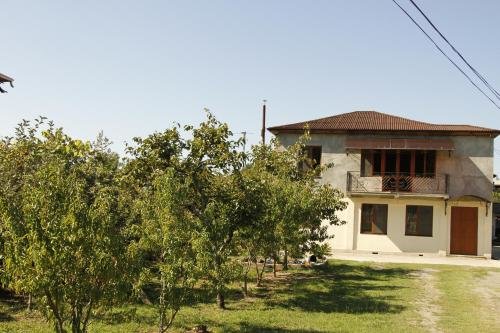 Сухум: Guest House u Saidy