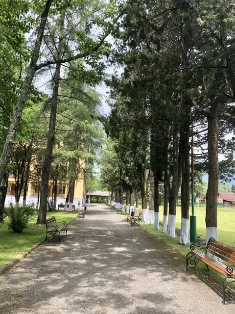Гагра: Отель Парк Олимп