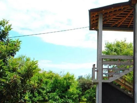 Новый Афон: Lime Guest house