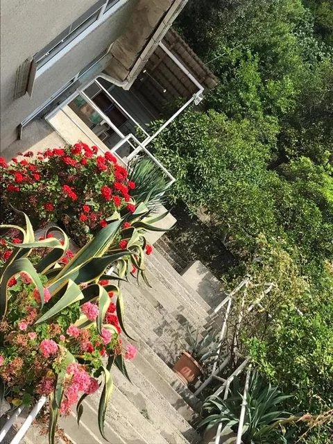 Гагра: Guest house on Kabardinskaya 10