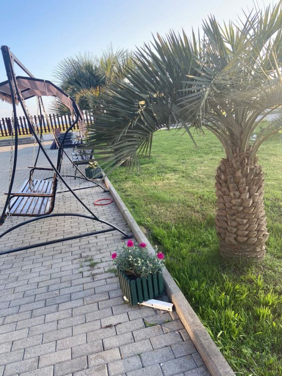 Пицунда: Al Mare Hotel