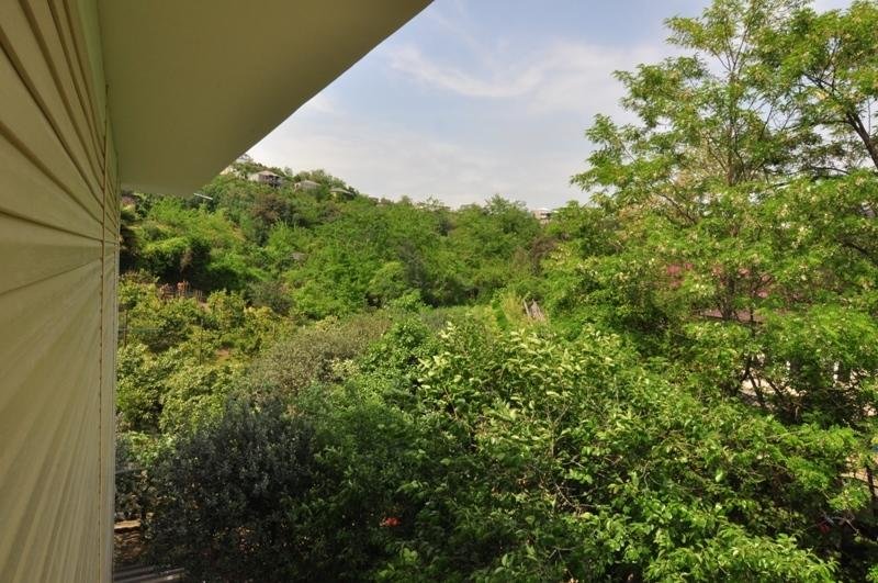 Сухум: Guest House Solnechny