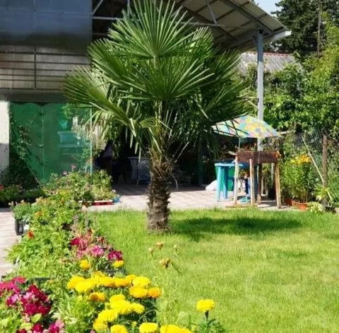 Гечрипш: Guest House Eleonora