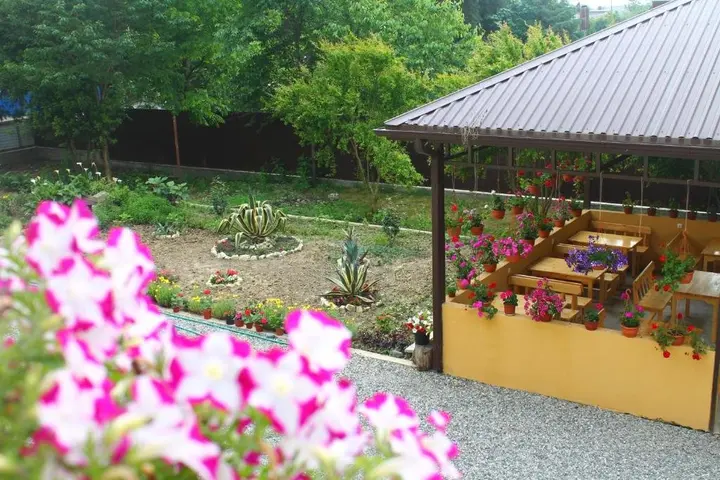Алахадзи: Guest house Black Sea