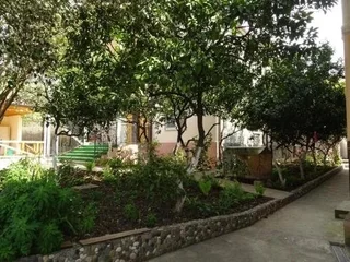 Цандрыпш: Guest house Kamelia
