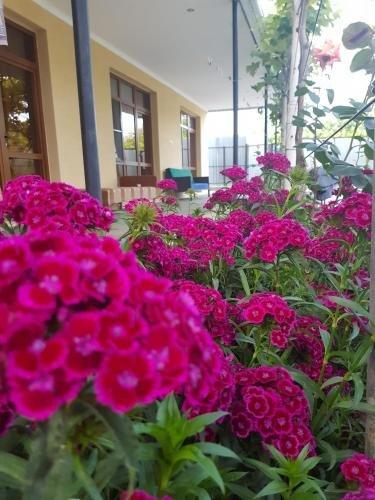 Алахадзи: U Norika i Susanny Guest House