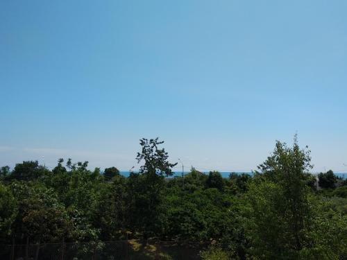 Новый Афон: Guest House Izumrud
