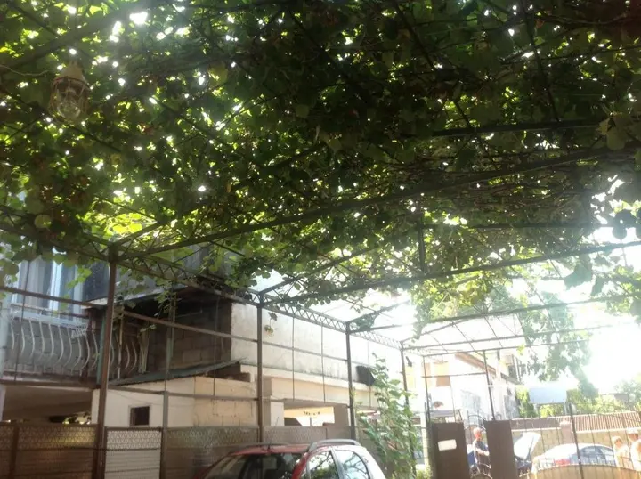 Гагра: Guest House on Shapsugskaya 2A