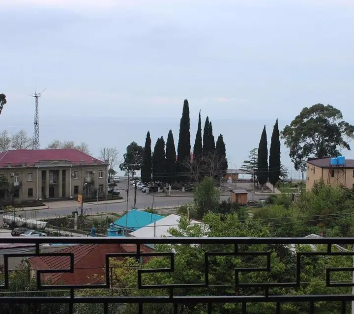 Гагра: Guest House on General Dbar 171a