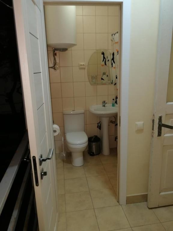 Гагра: Guest House Alpiyskaya 7
