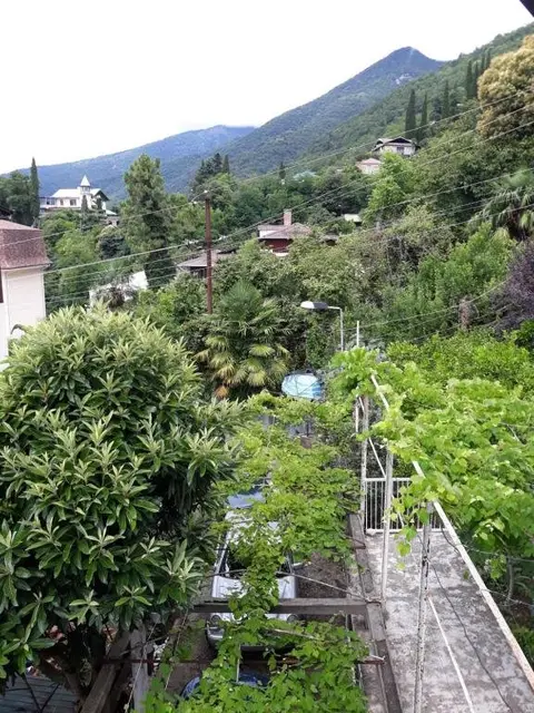 Гагра: Guesthouse on Dbar 8