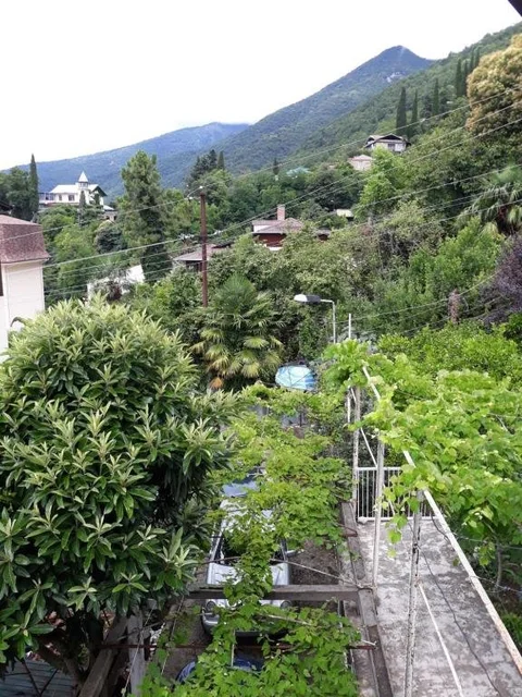 Гагра: Guesthouse on Dbar 8