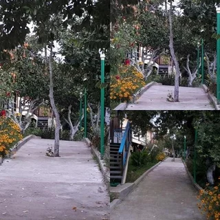 Новый Афон: Mandarinoviy Rai