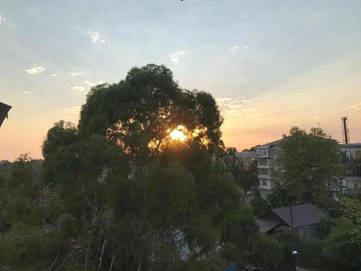 Сухум: In The Shadow Of Eucalyptus