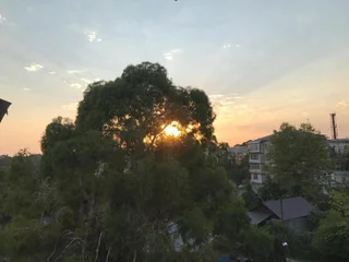 Сухум: In The Shadow Of Eucalyptus