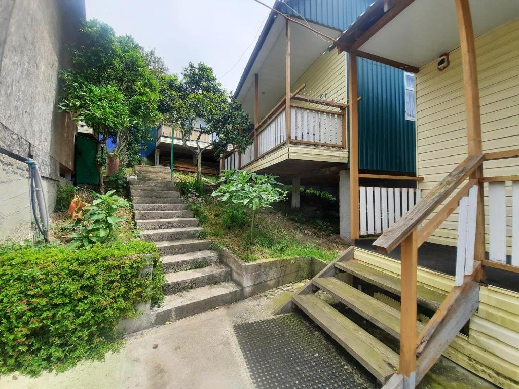 Новый Афон: Guest House Mandarinoviy Rai