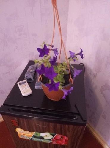 Пицунда: Holiday home Agrba 24