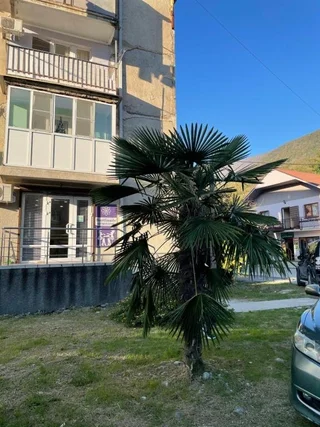 Гагра: 2h kom kV v Gagra