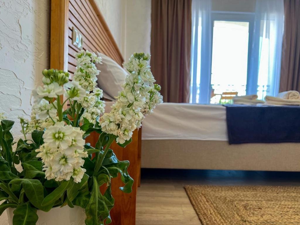 Гудаута: Guest House Nartaa