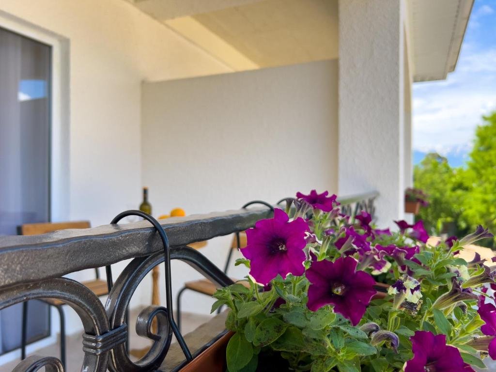 Гудаута: Guest House Nartaa