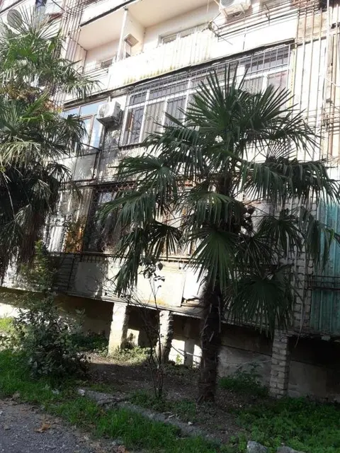 Сухум: Apartment on Akirtaaba 30