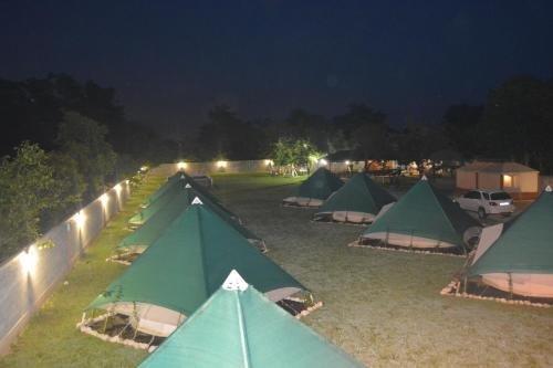 Гудаута: Glam Camping Abkhazia