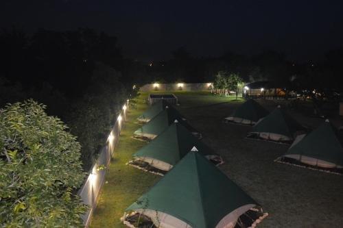 Гудаута: Glam Camping Abkhazia