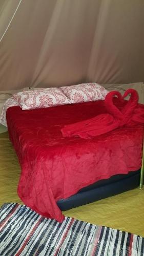 Гудаута: Glam Camping Abkhazia
