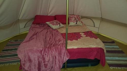 Гудаута: Glam Camping Abkhazia