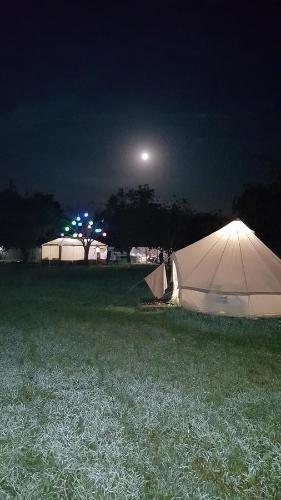 Гудаута: Glam Camping Abkhazia