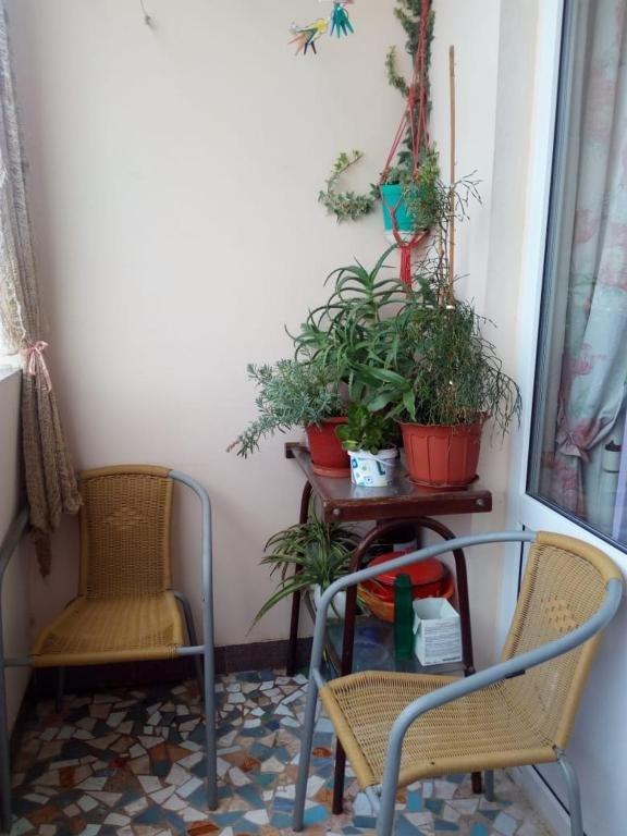 Пицунда: Apartment on Agrba 18