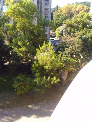 Сухум: 5-minutes to the sea apartment