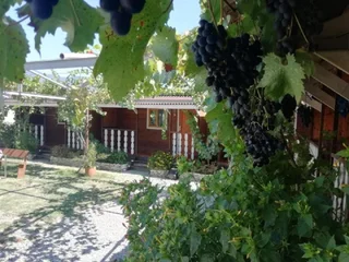 Алахадзи: Holiday home Primorskaya 11
