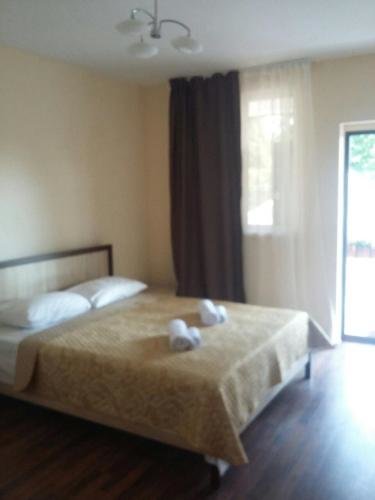 Сухум: Guest house on Adleyba 146