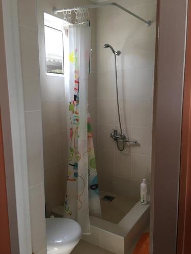 Сухум: Guest house on Shakirbay 11
