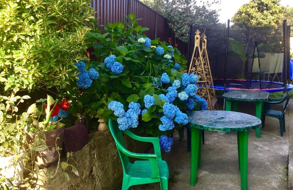 Верхняя Эшера: Psyrtskha Guest house