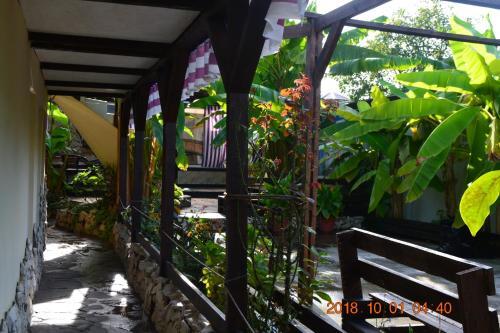 Сухум: U Palycha Guest House