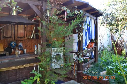 Сухум: U Palycha Guest House