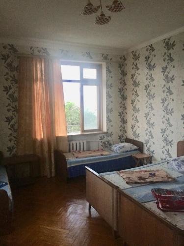 Новый Афон: Guest house Gladiator